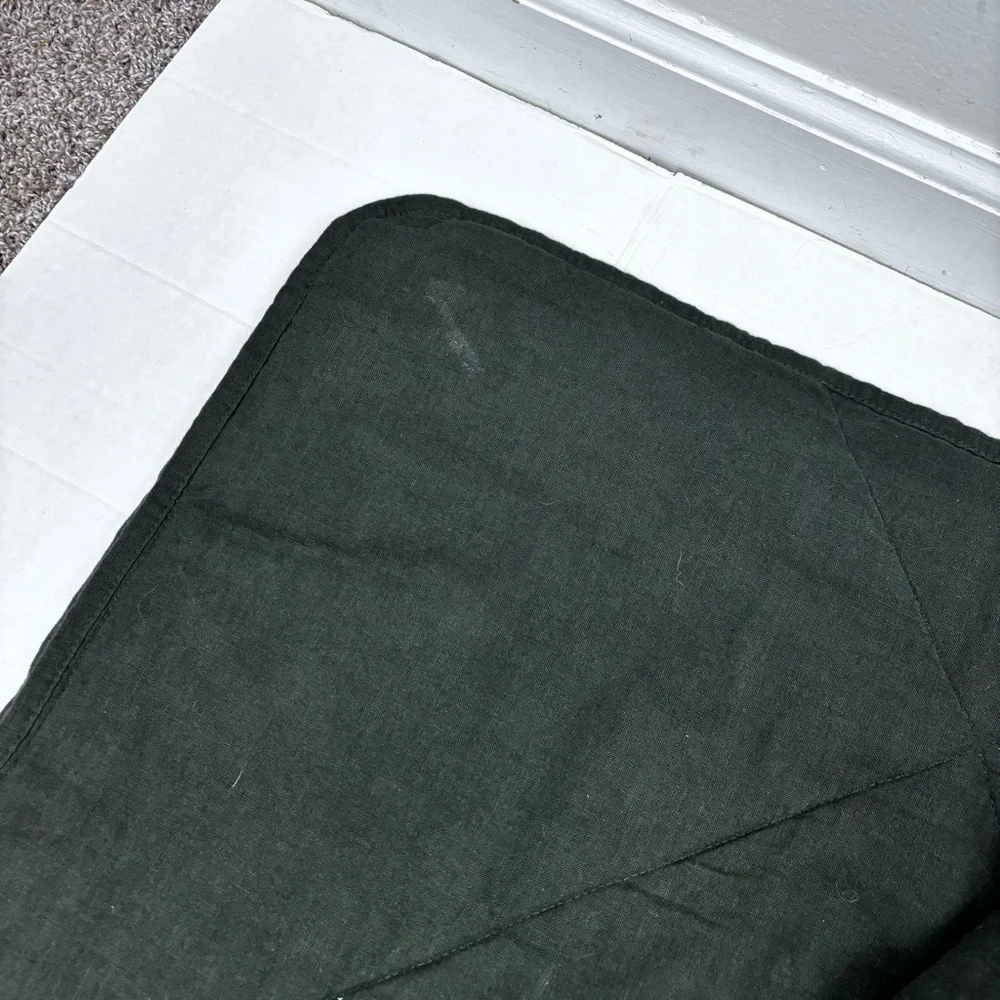 Crate & Barrel-Aire Natural European Flax Standard Pillow Shams-(2)Ficus Green
